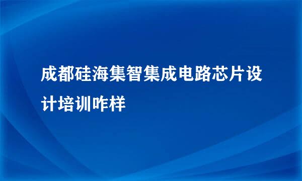 成都硅海集智集成电路芯片设计培训咋样