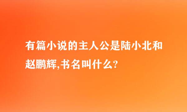 有篇小说的主人公是陆小北和赵鹏辉,书名叫什么?