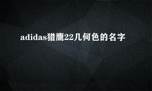 adidas猎鹰22几何色的名字