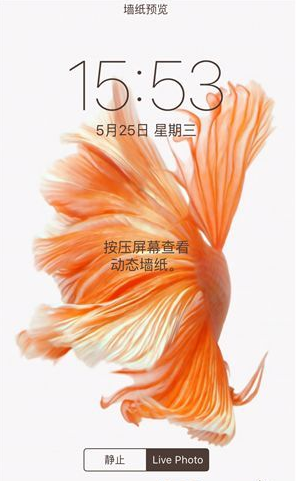 苹果6s3d touch 设置动态屏保怎么设置