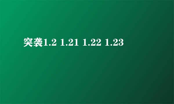 突袭1.2 1.21 1.22 1.23