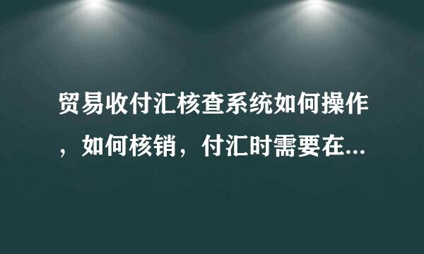 贸易收付汇核查系统如何操作，如何核销，付汇时需要在上边登记吗？