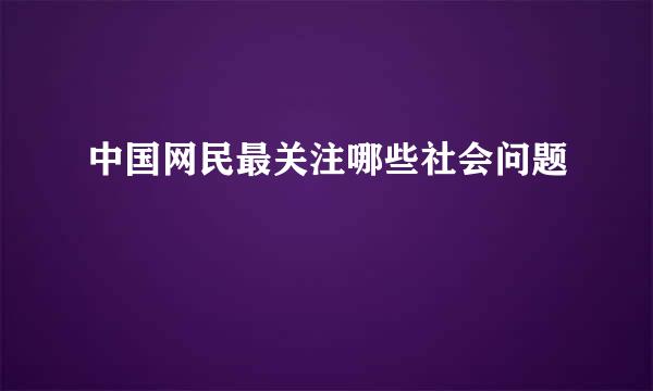 中国网民最关注哪些社会问题