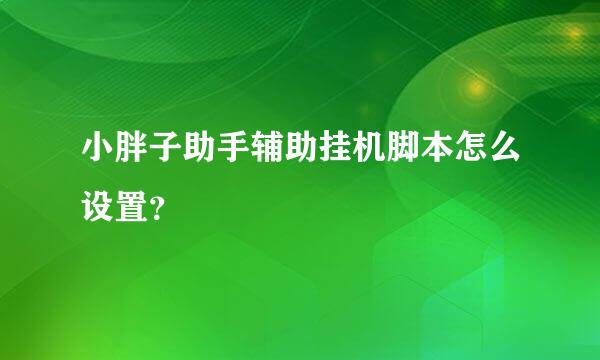 小胖子助手辅助挂机脚本怎么设置？