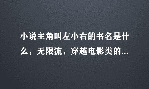 小说主角叫左小右的书名是什么，无限流，穿越电影类的，首先是叶问再是城市猎人再是国产凌凌漆