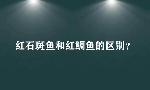 红石斑鱼和红鲷鱼的区别？