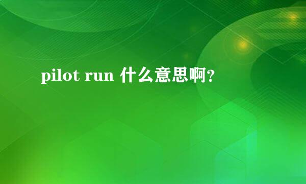 pilot run 什么意思啊？