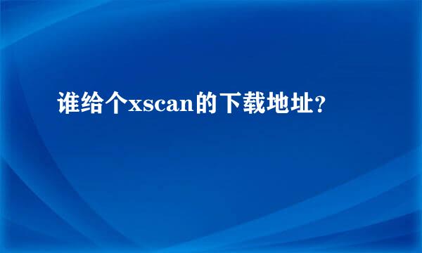 谁给个xscan的下载地址？