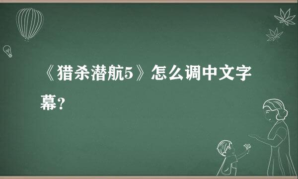 《猎杀潜航5》怎么调中文字幕？