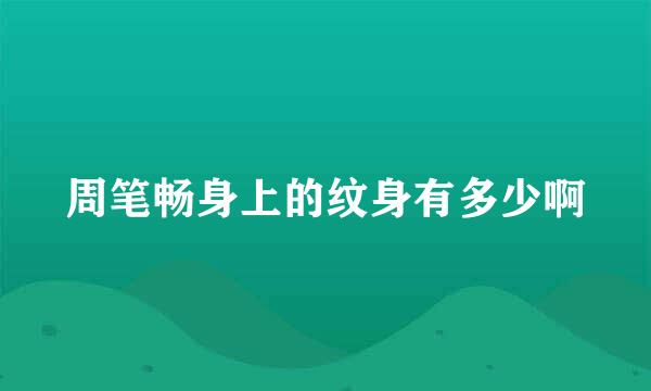 周笔畅身上的纹身有多少啊