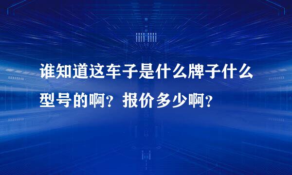 谁知道这车子是什么牌子什么型号的啊？报价多少啊？