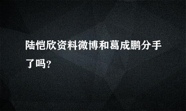 陆恺欣资料微博和葛成鹏分手了吗？