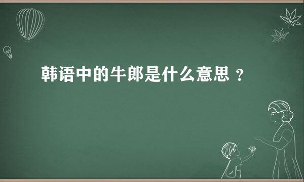 韩语中的牛郎是什么意思 ？