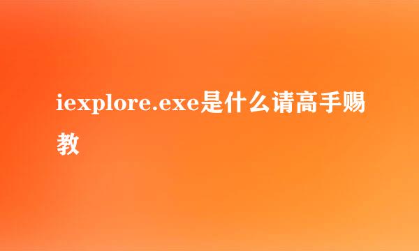 iexplore.exe是什么请高手赐教