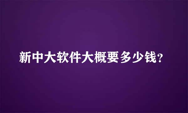 新中大软件大概要多少钱？