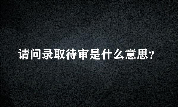 请问录取待审是什么意思？