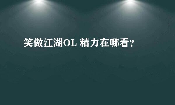 笑傲江湖OL 精力在哪看？