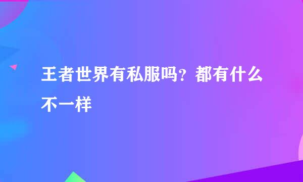 王者世界有私服吗？都有什么不一样