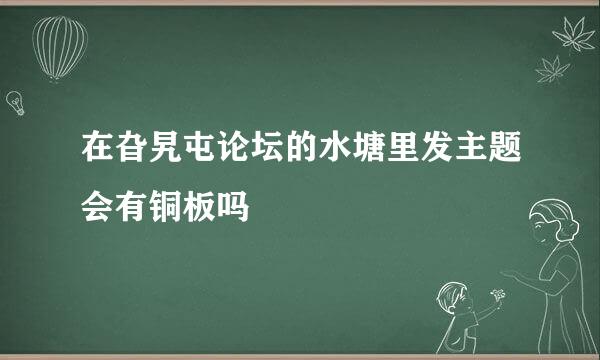 在旮旯屯论坛的水塘里发主题会有铜板吗