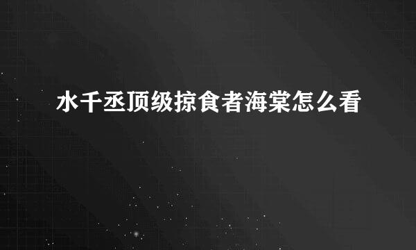 水千丞顶级掠食者海棠怎么看