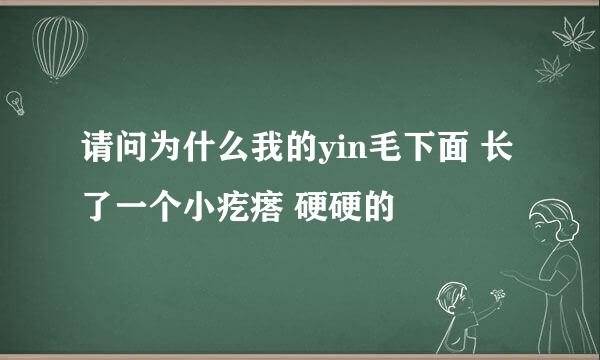 请问为什么我的yin毛下面 长了一个小疙瘩 硬硬的