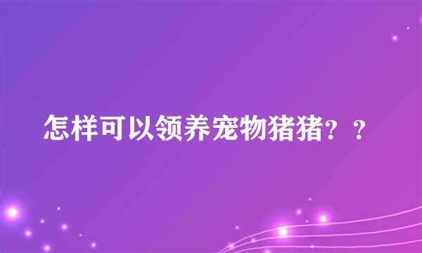 怎样可以领养宠物猪猪？？