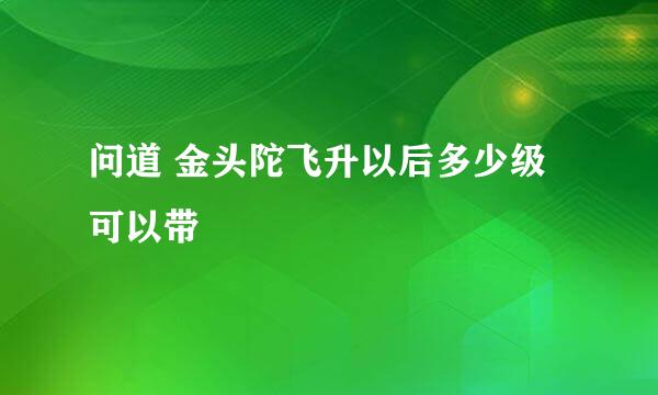 问道 金头陀飞升以后多少级可以带