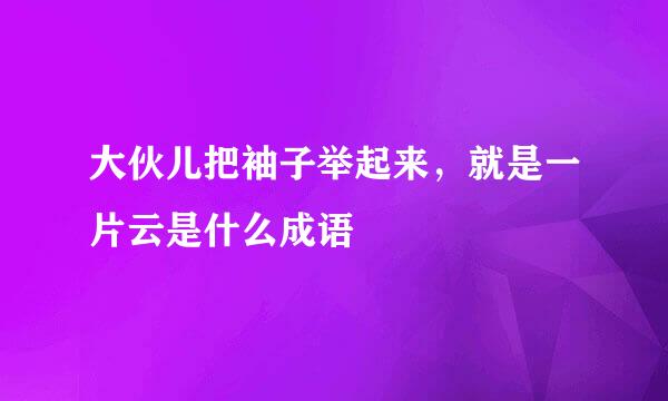 大伙儿把袖子举起来，就是一片云是什么成语