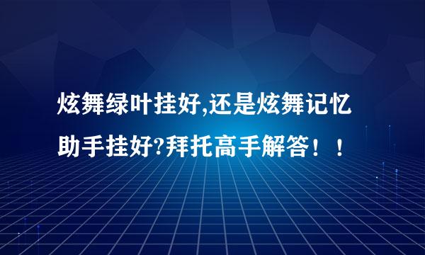 炫舞绿叶挂好,还是炫舞记忆助手挂好?拜托高手解答！！