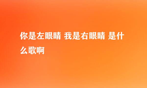 你是左眼睛 我是右眼睛 是什么歌啊