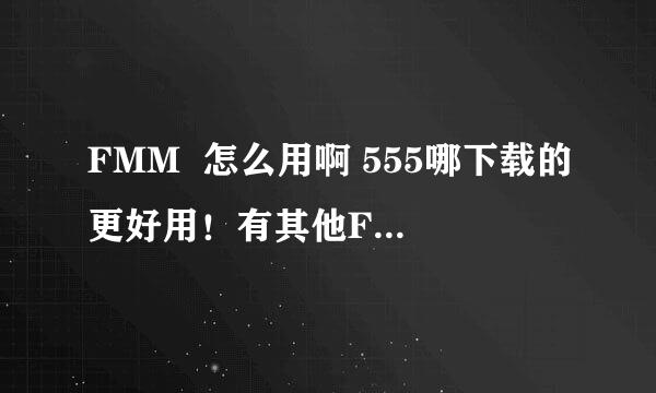 FMM  怎么用啊 555哪下载的更好用！有其他FM2006的修改器吗？好用就行！