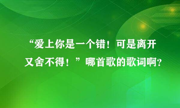 “爱上你是一个错！可是离开又舍不得！”哪首歌的歌词啊？