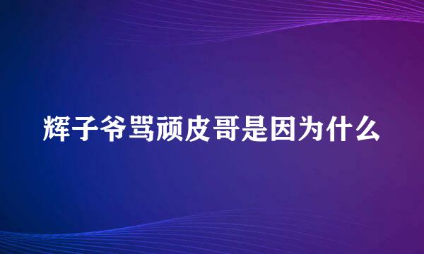 辉子爷骂顽皮哥是因为什么