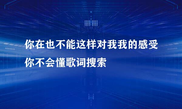 你在也不能这样对我我的感受你不会懂歌词搜索