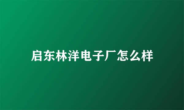 启东林洋电子厂怎么样