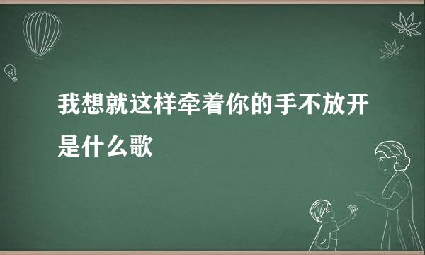 我想就这样牵着你的手不放开是什么歌