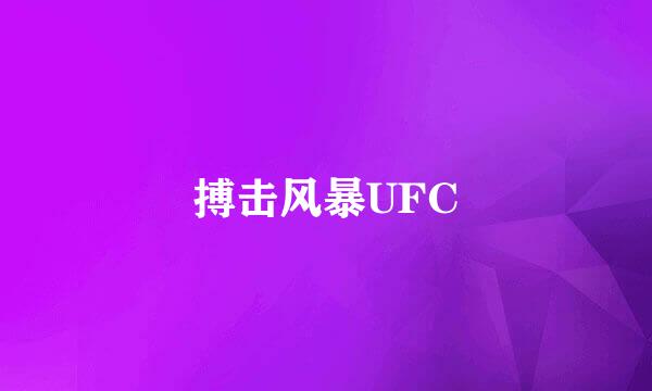 搏击风暴UFC