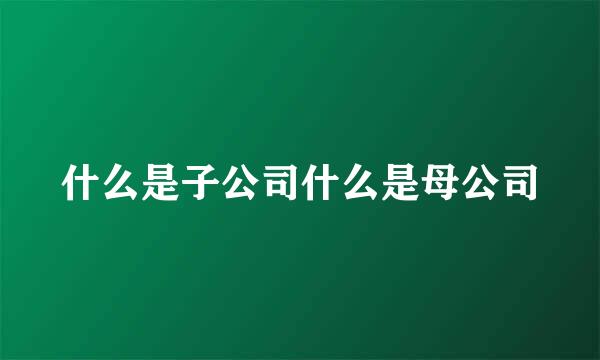 什么是子公司什么是母公司