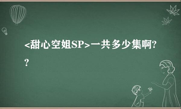 <甜心空姐SP>一共多少集啊??