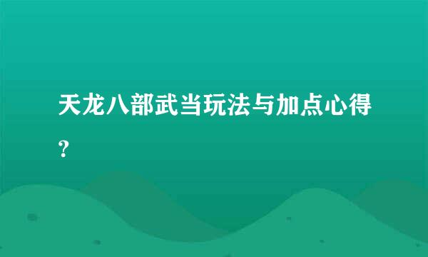 天龙八部武当玩法与加点心得？