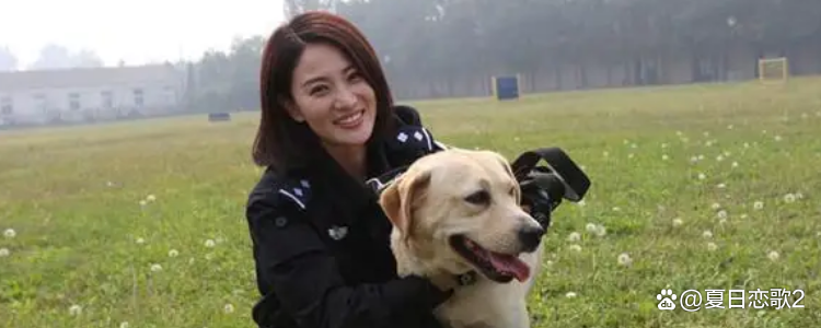 警花与警犬分集剧情介绍