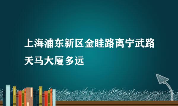 上海浦东新区金眭路离宁武路天马大厦多远