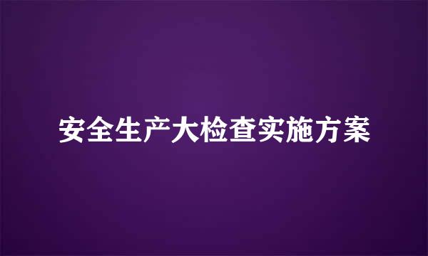 安全生产大检查实施方案