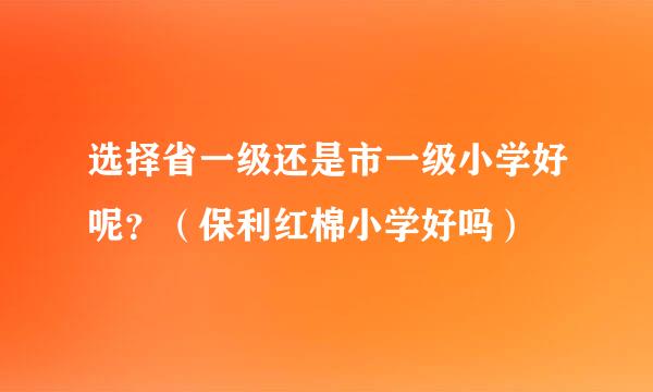 选择省一级还是市一级小学好呢？（保利红棉小学好吗）