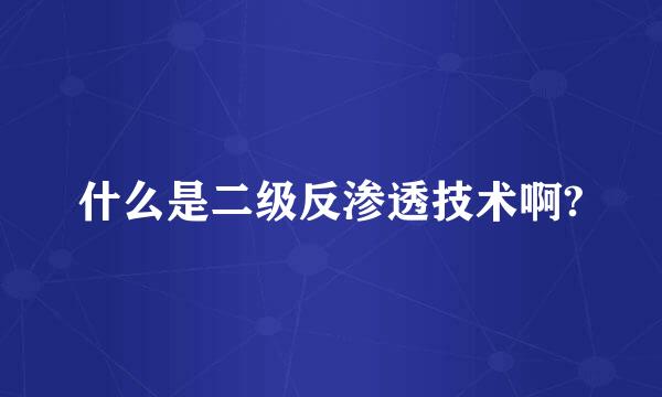 什么是二级反渗透技术啊?