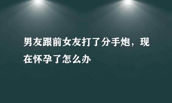 男友跟前女友打了分手炮，现在怀孕了怎么办