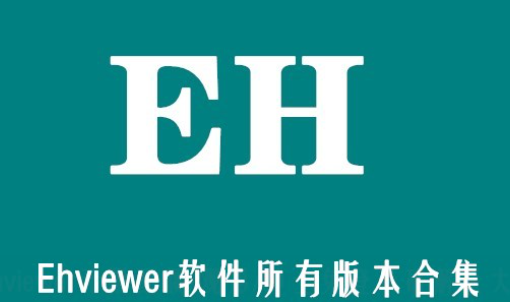 ehviewer一直转圈怎么解决