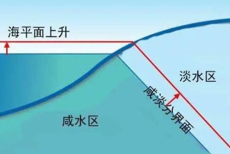 沪自来水供应正常有序，当地的用水量如何？