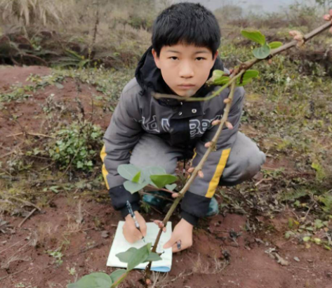 四川一男孩手绘中草药走红了，他为何会画这些中草药图？