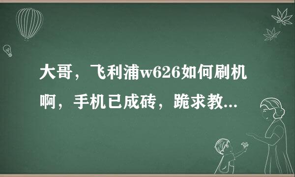 大哥，飞利浦w626如何刷机啊，手机已成砖，跪求教程啊！！！！